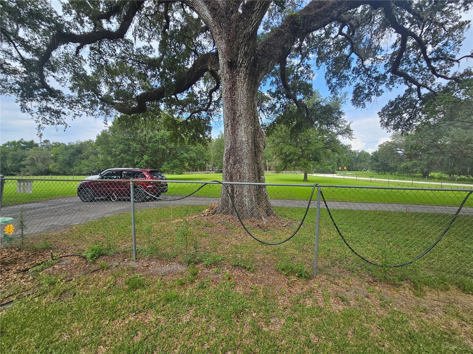 31110 HARTMAN RD — photo 4