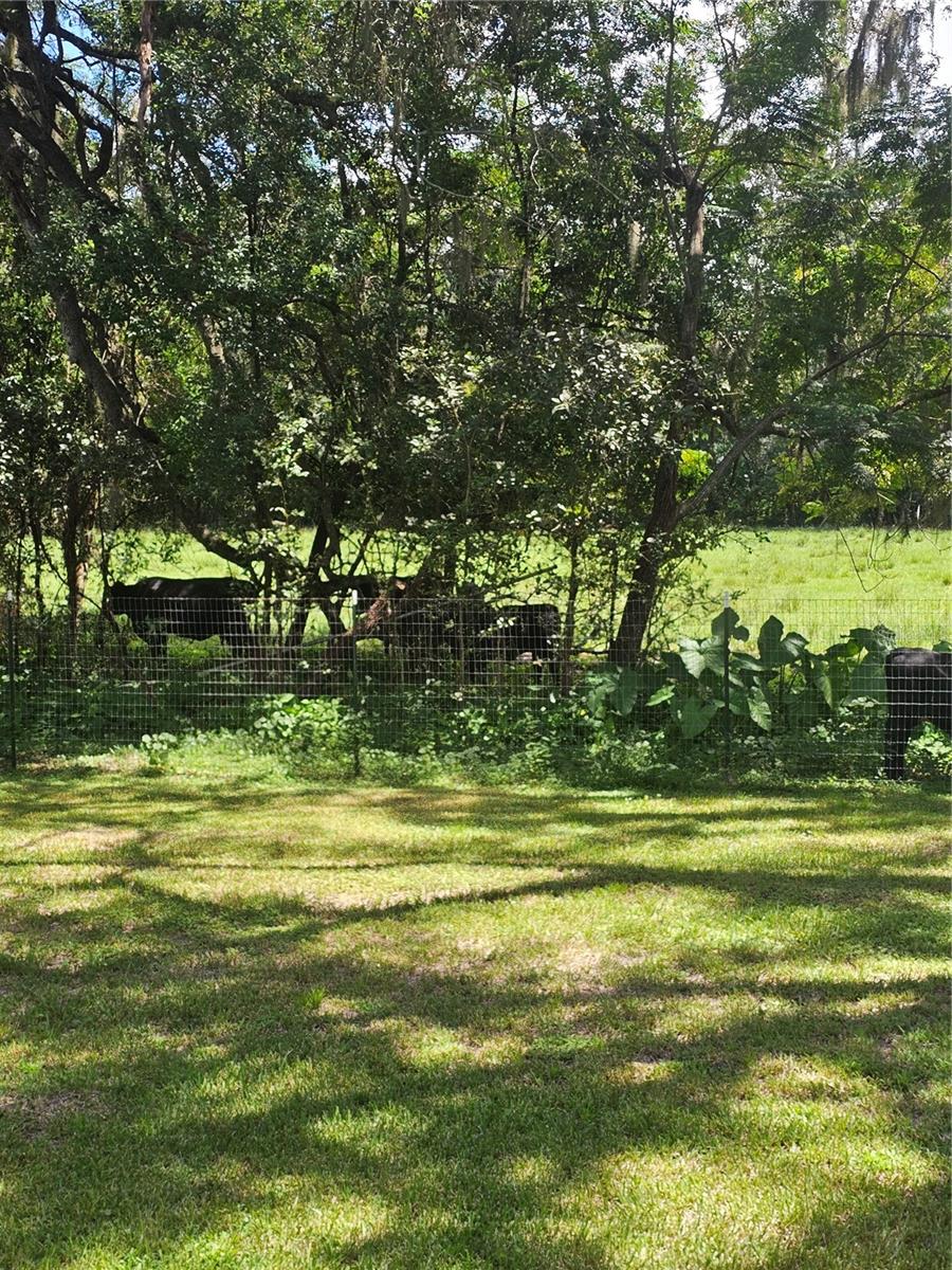 31110 HARTMAN RD — photo 24