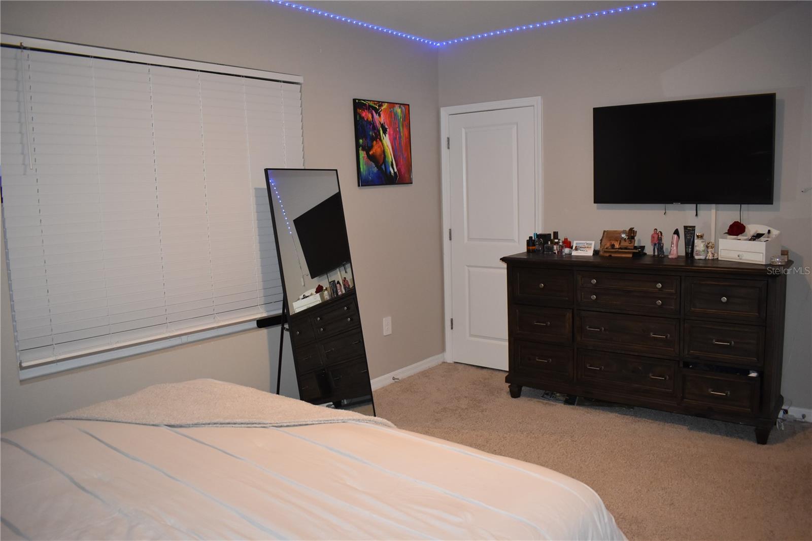 6572 SERENITY FALL LN — photo 16