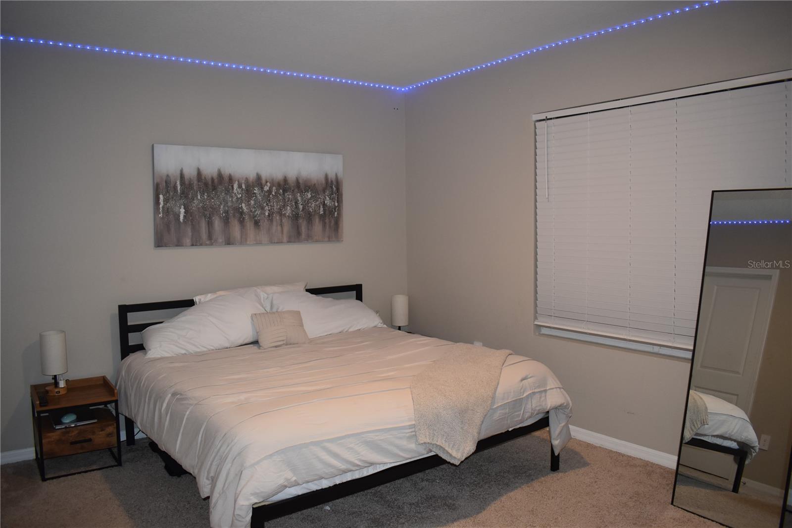 6572 SERENITY FALL LN — photo 19
