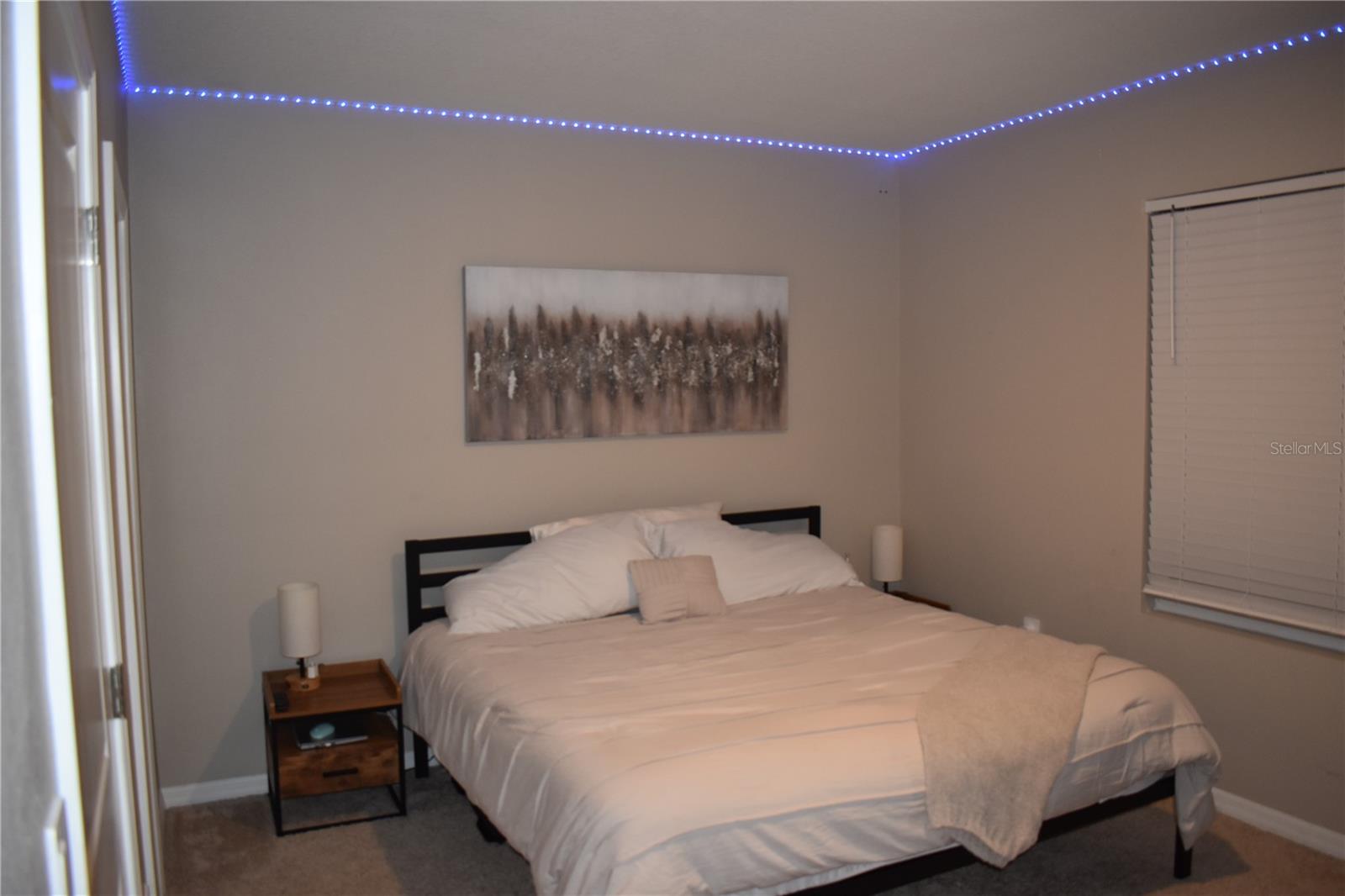 6572 SERENITY FALL LN — photo 20