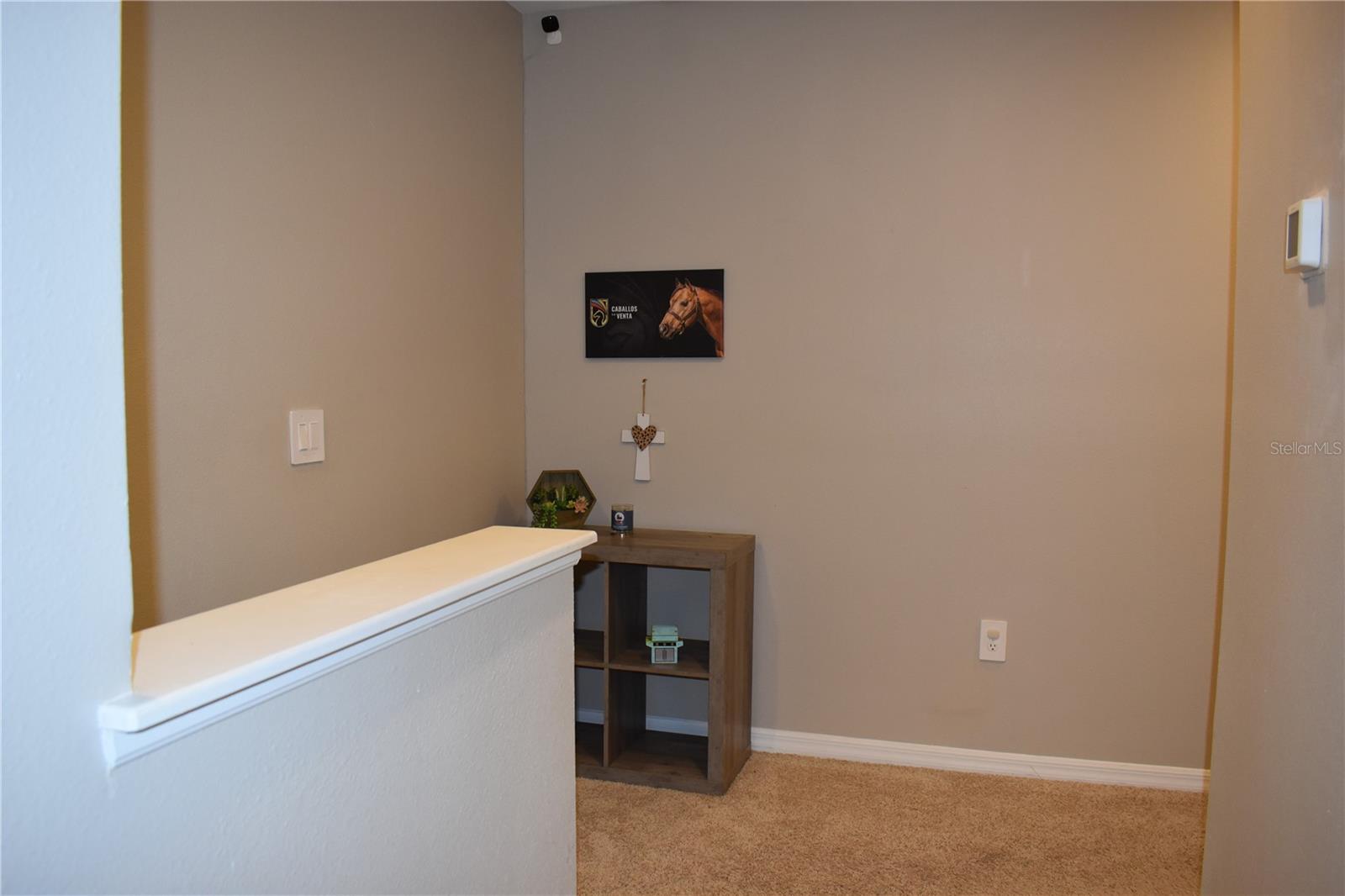6572 SERENITY FALL LN — photo 21