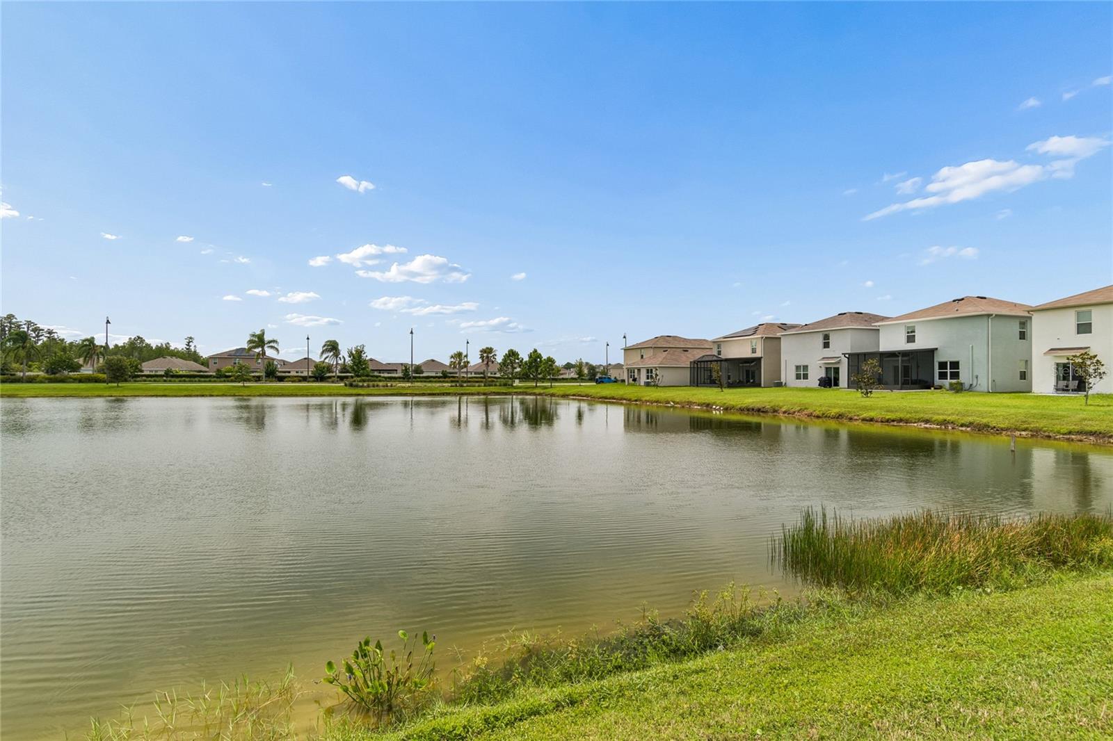 15990 TUSCANY HILLSIDE RD — photo 50