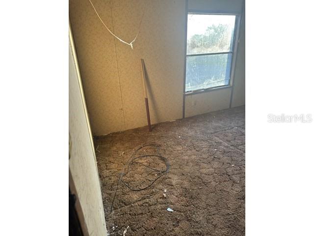 36118 ZINNIA AVE — photo 5