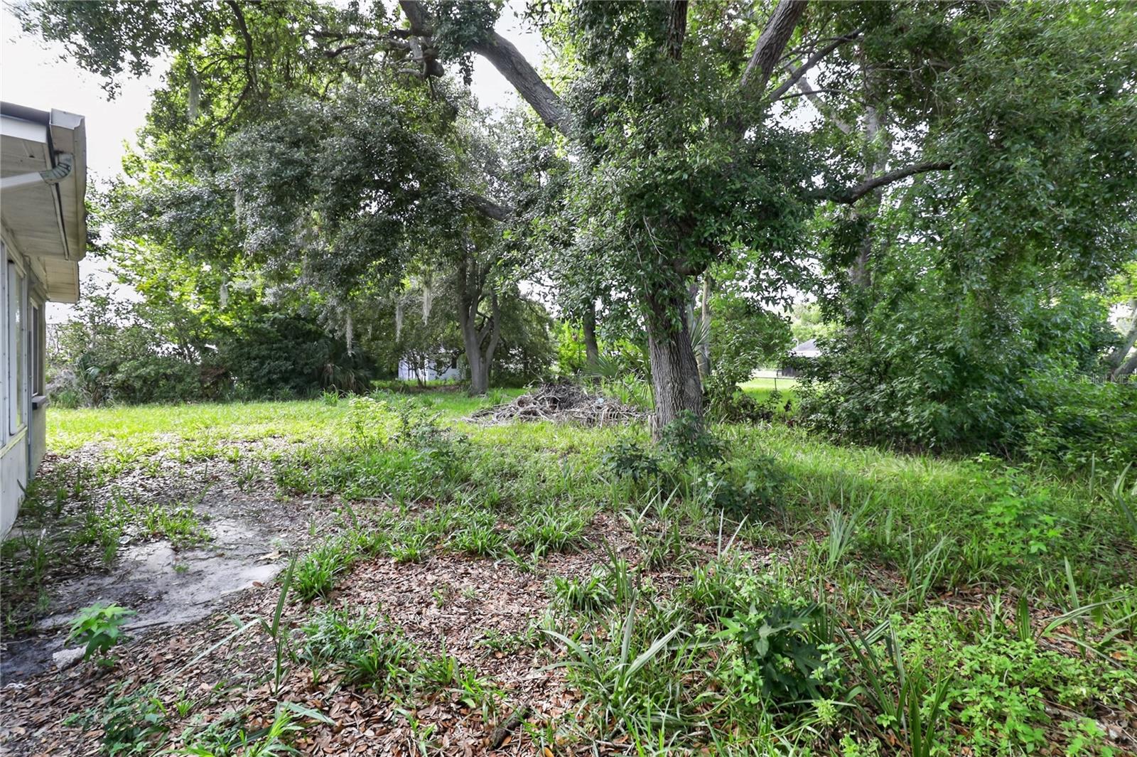 7036 ASHWOOD DR — photo 29