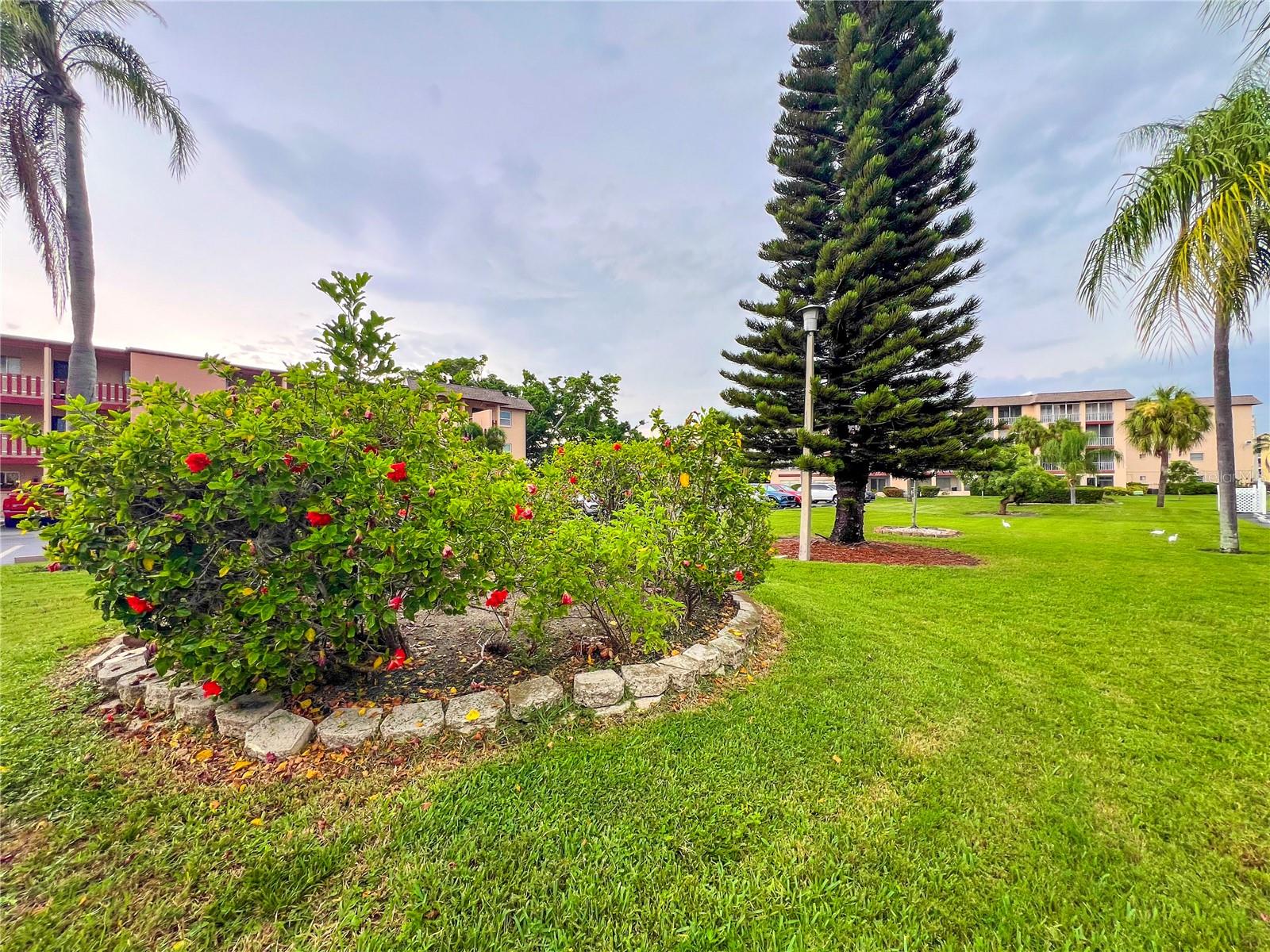 4204 HERON WAY #B304 — photo 14