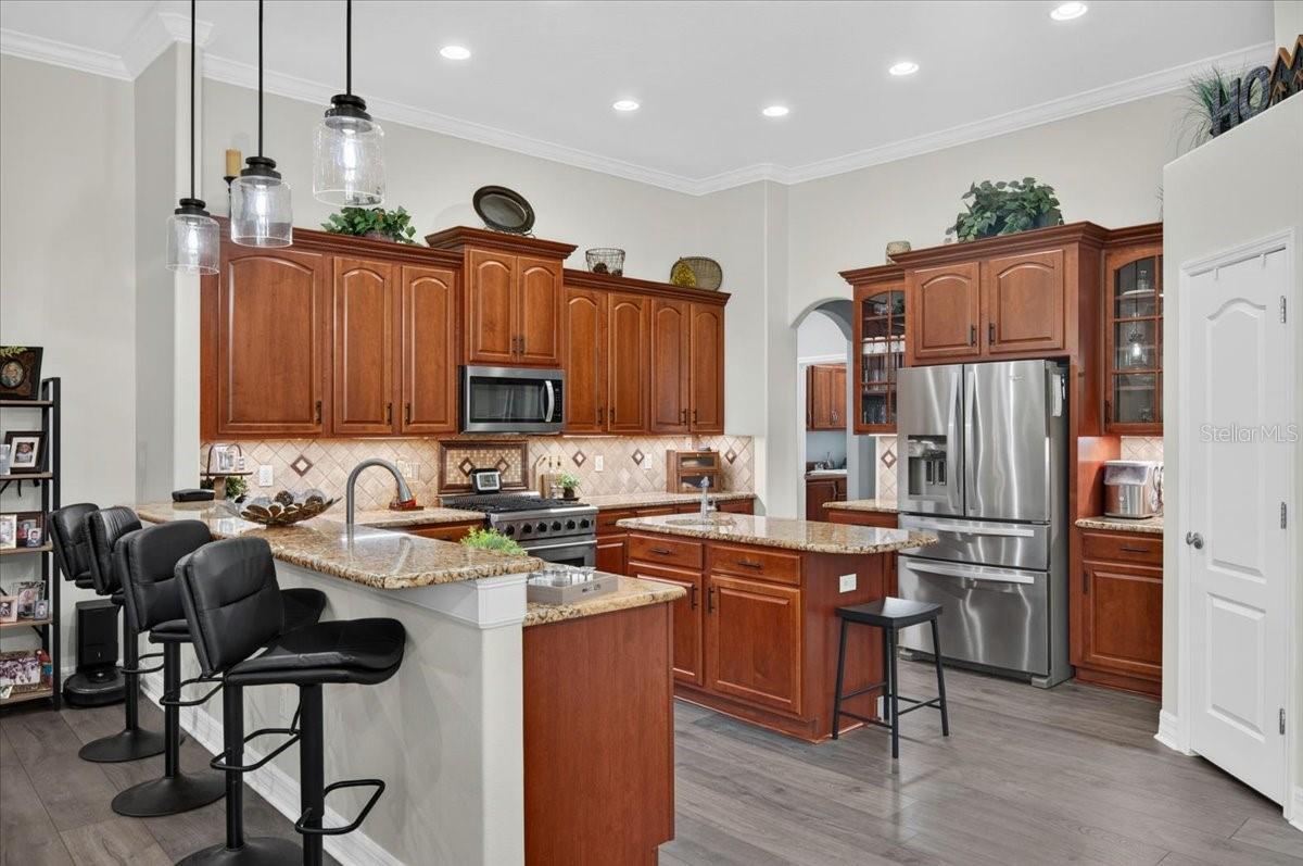 16410 IVY LAKE DR — photo 16