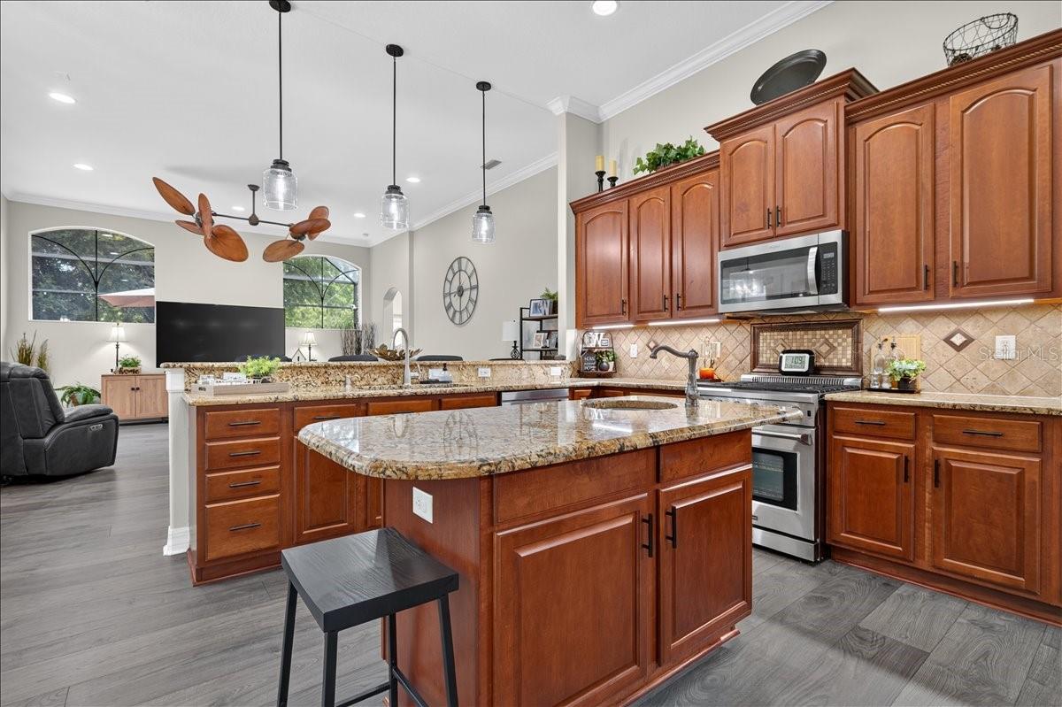 16410 IVY LAKE DR — photo 18