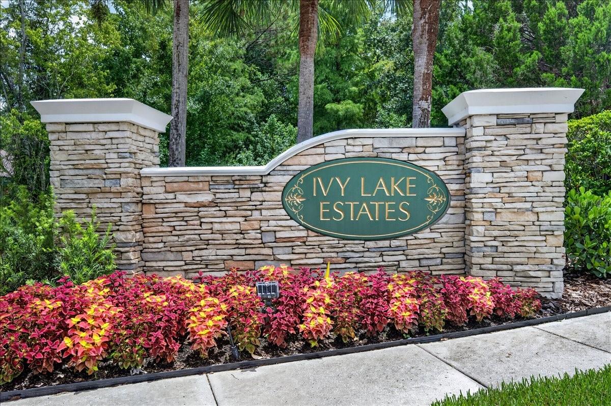 16410 IVY LAKE DR — photo 47
