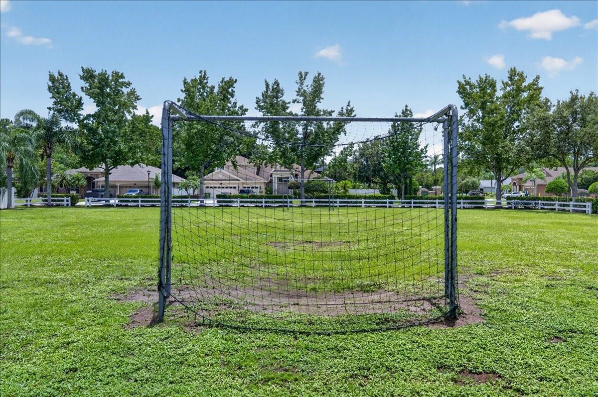 16410 IVY LAKE DR — photo 52