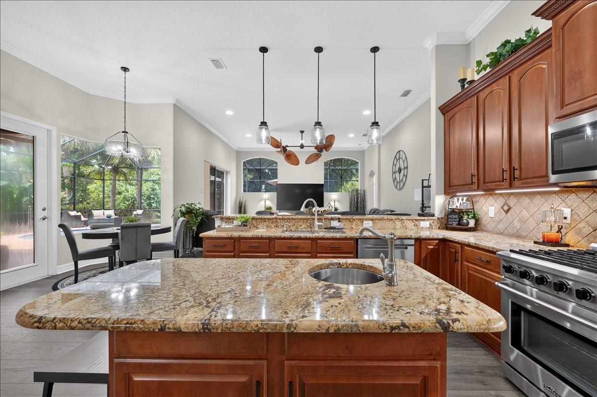 16410 IVY LAKE DR — photo 19
