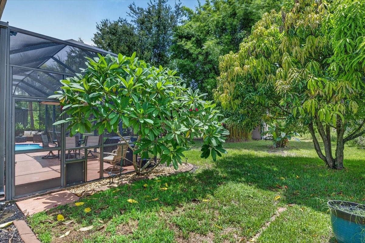 16410 IVY LAKE DR — photo 43
