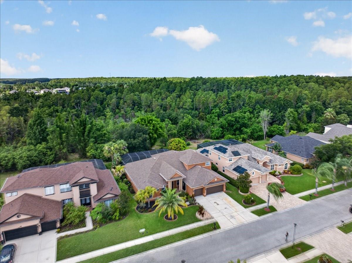 16410 IVY LAKE DR — photo 58