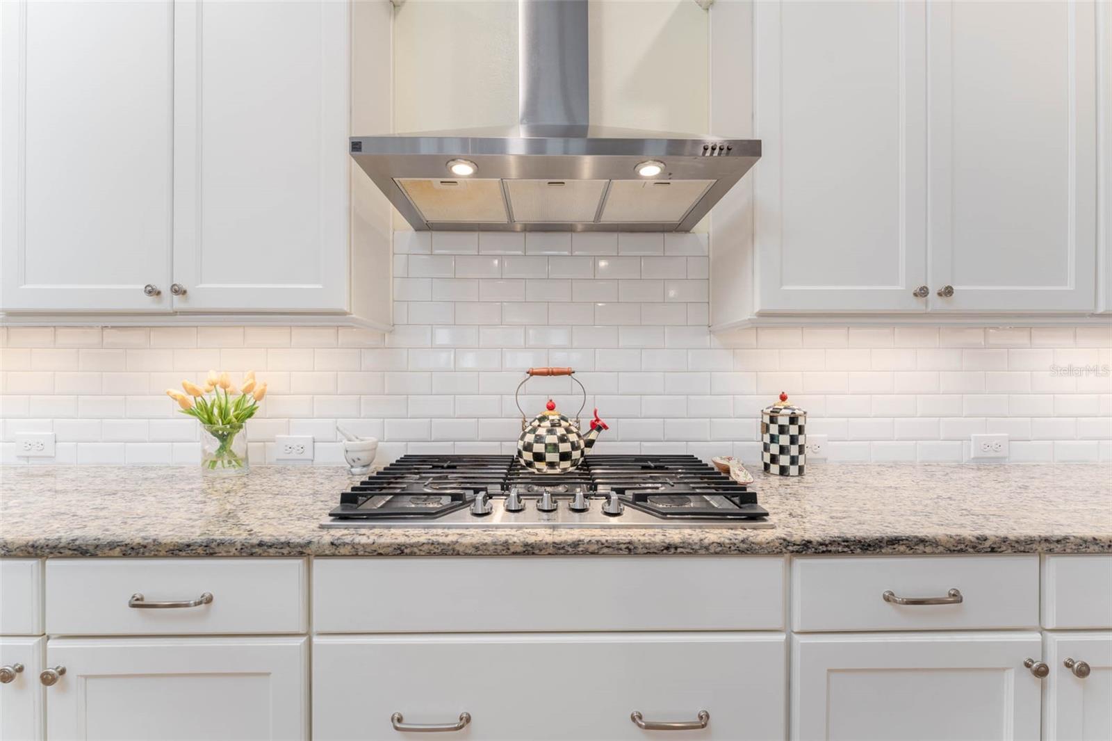 14008 SWALLOW HILL DR — photo 17