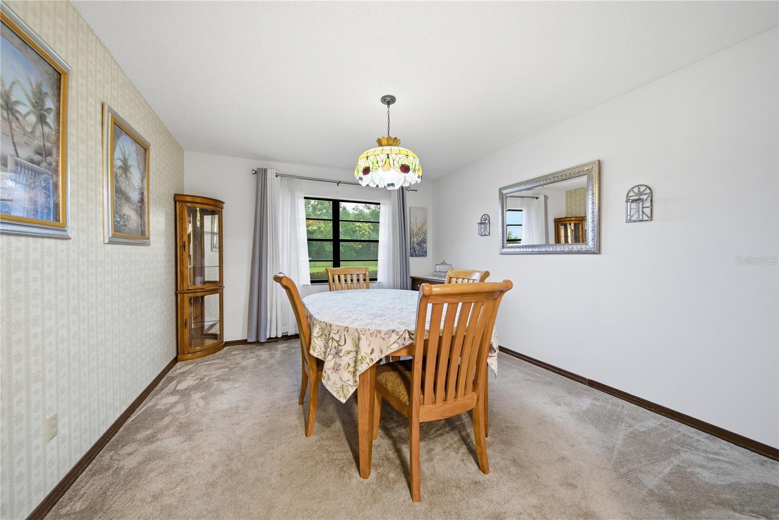 3704 THONOTOSASSA RD — photo 27