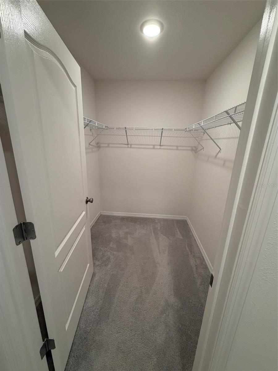 4743 DEER TRACK ST — photo 14