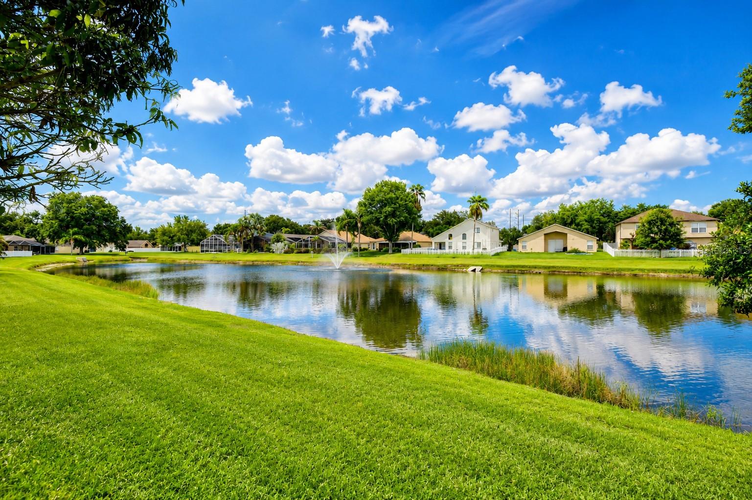 12928 KINGS LAKE DR — photo 14