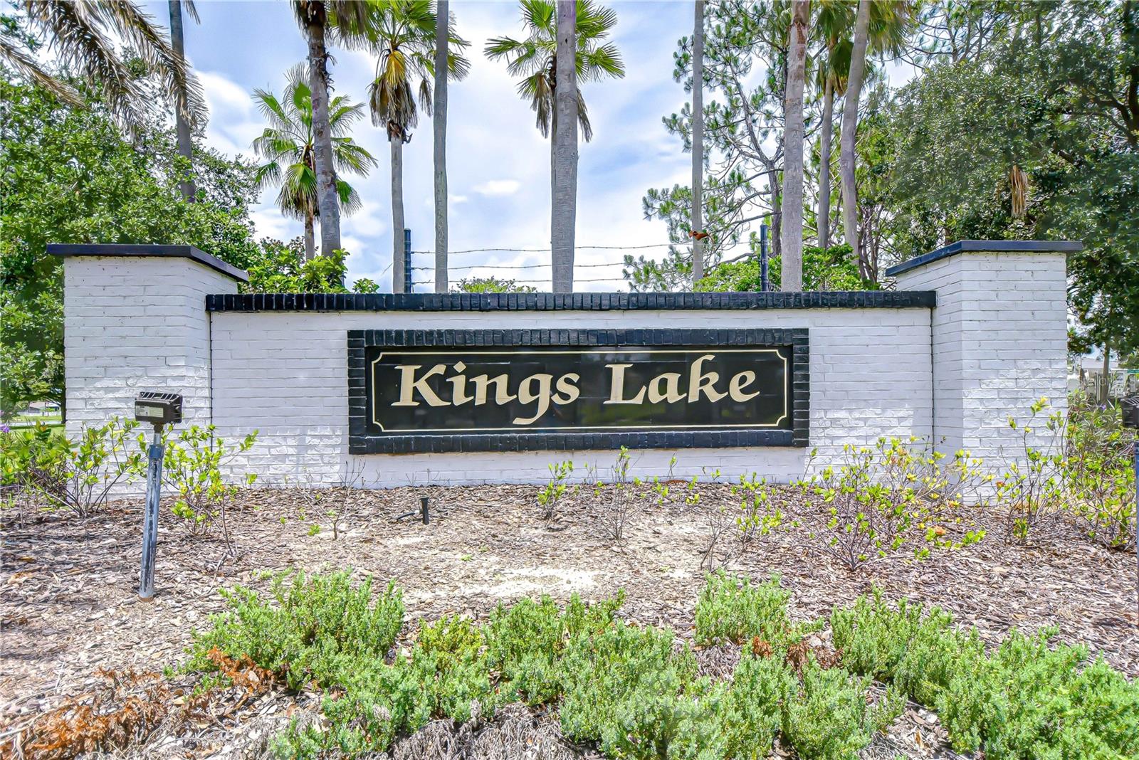 12928 KINGS LAKE DR — photo 80