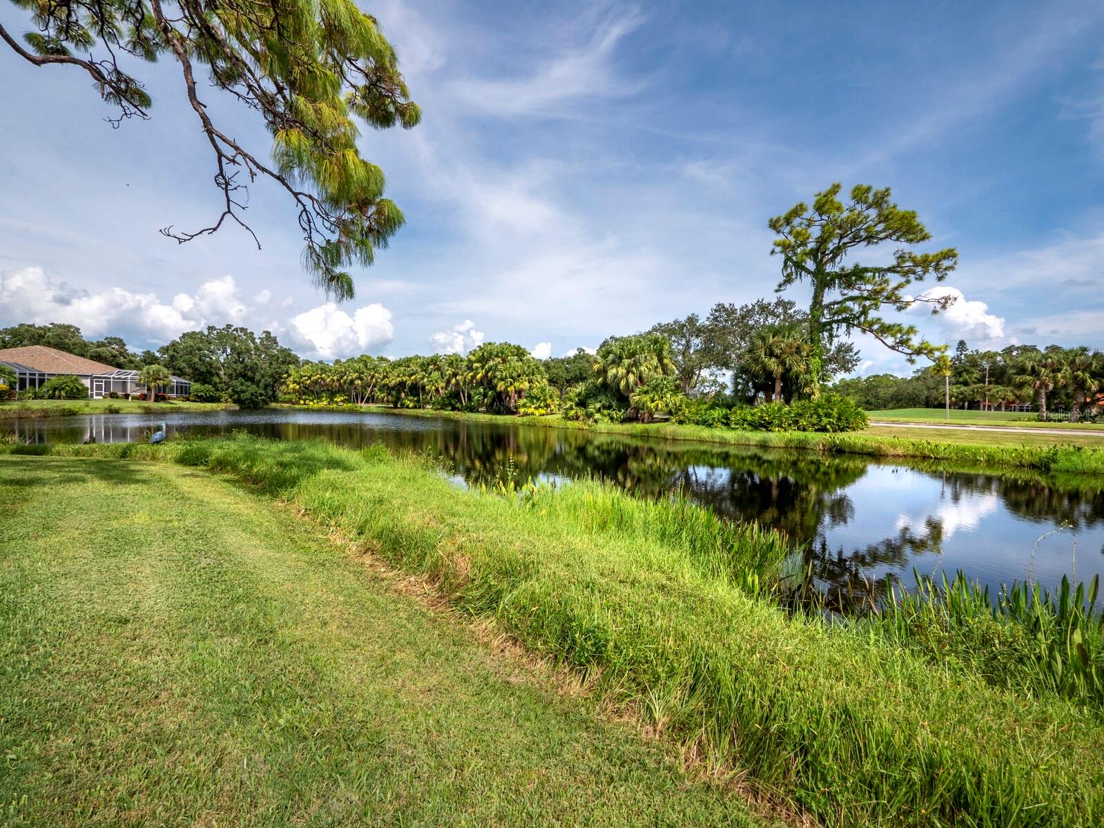 8737 PEBBLE CREEK LN — photo 49