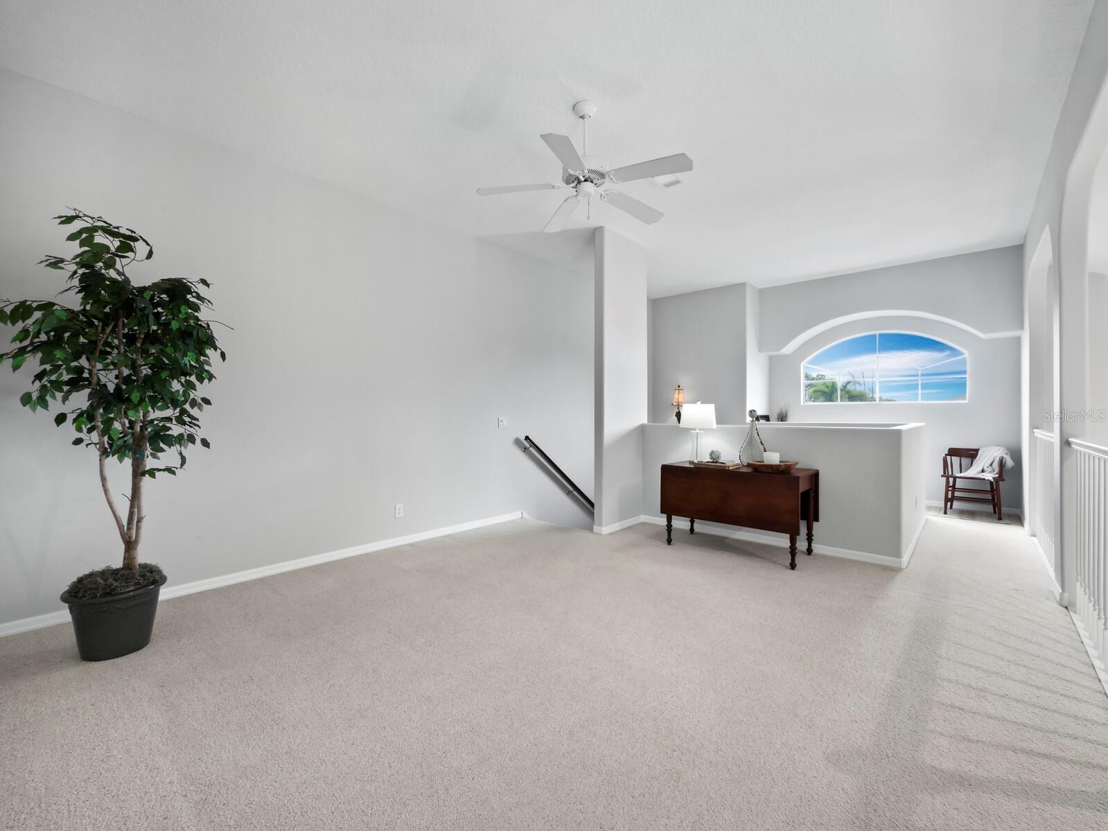 8737 PEBBLE CREEK LN — photo 38