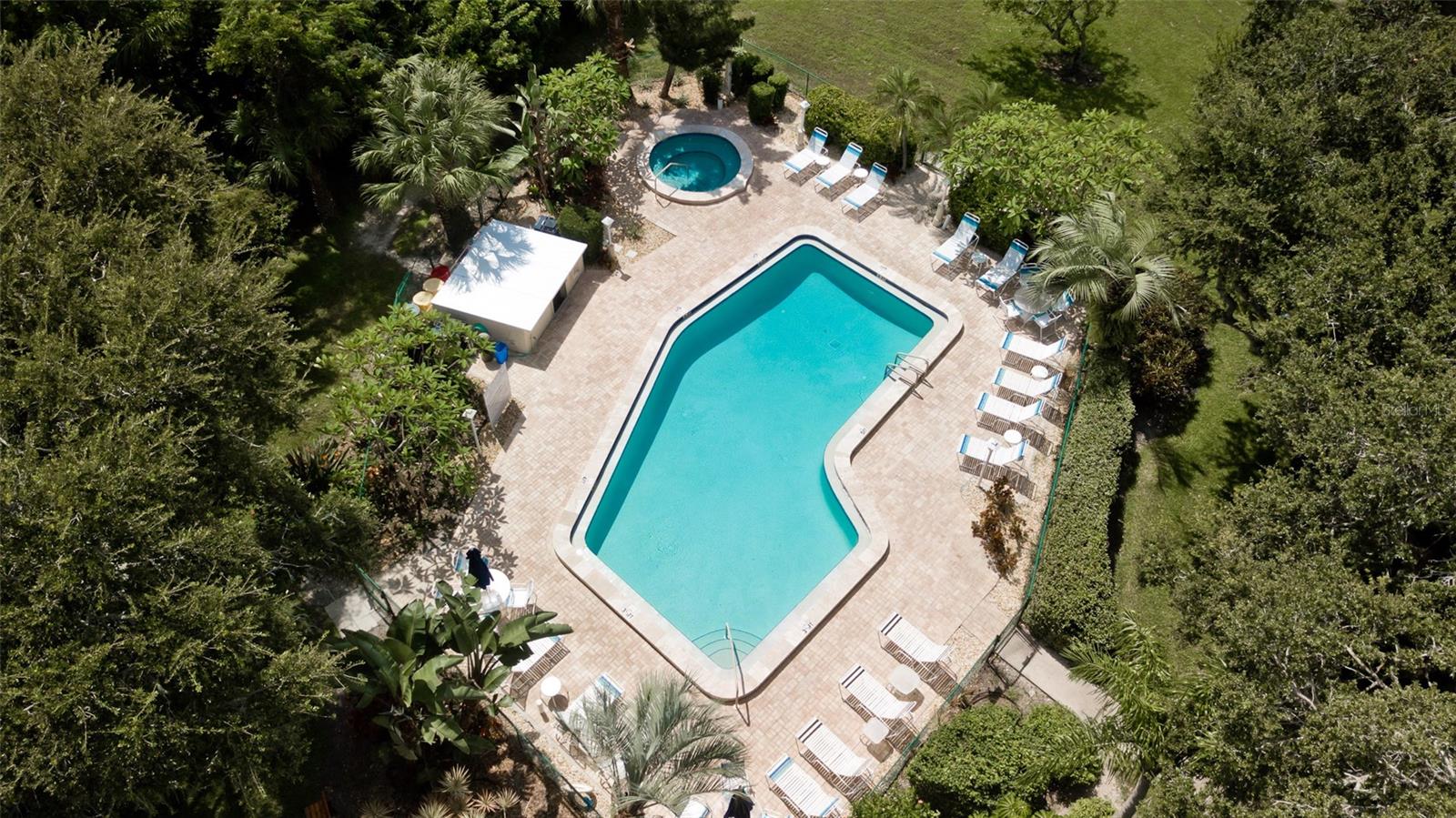 440 PALM TREE DR #N/A — photo 22