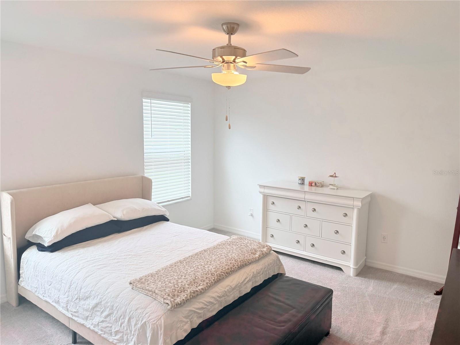 36434 GARDEN WALL WAY — photo 7