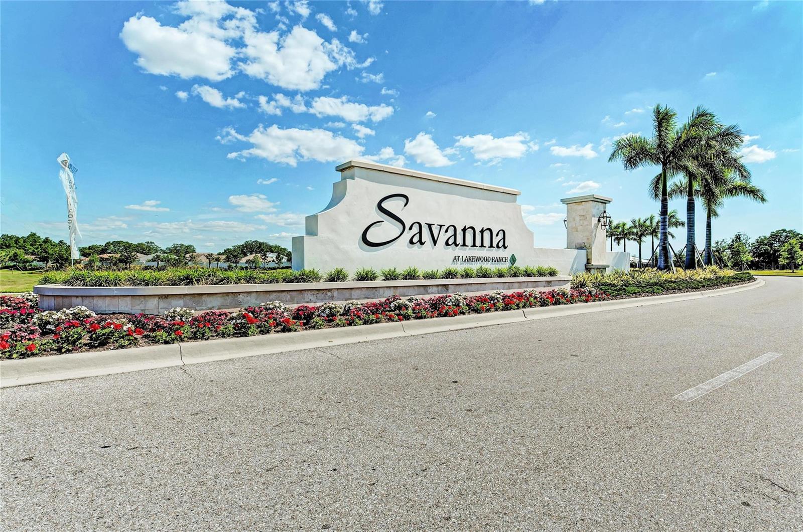 3512 SAVANNA PALMS CT — photo 48