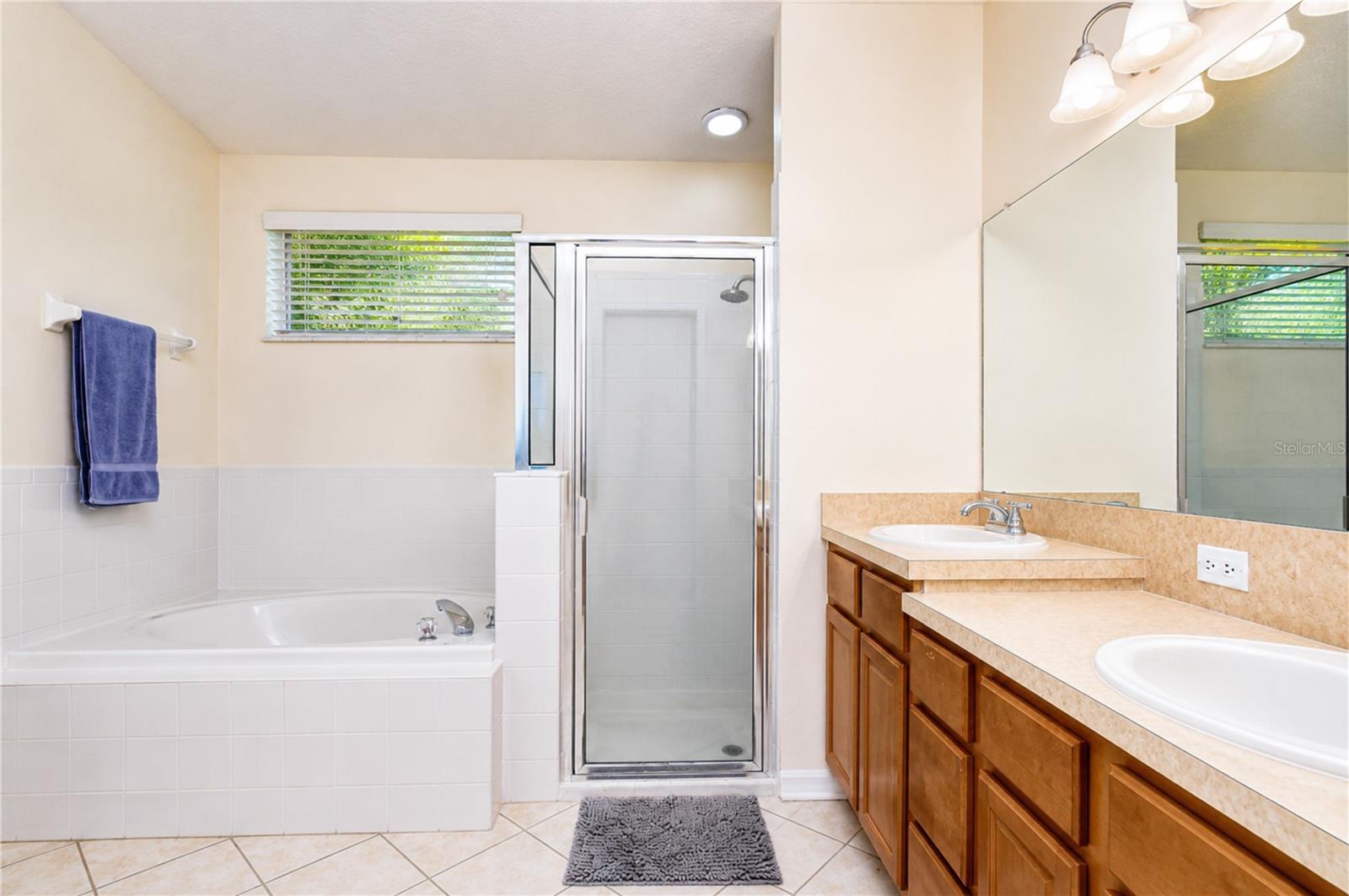 6209 GANNETDALE DR — photo 16