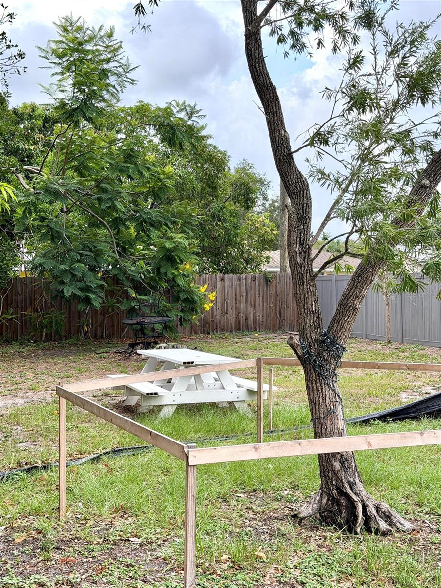 2101 ROSE ST — photo 4