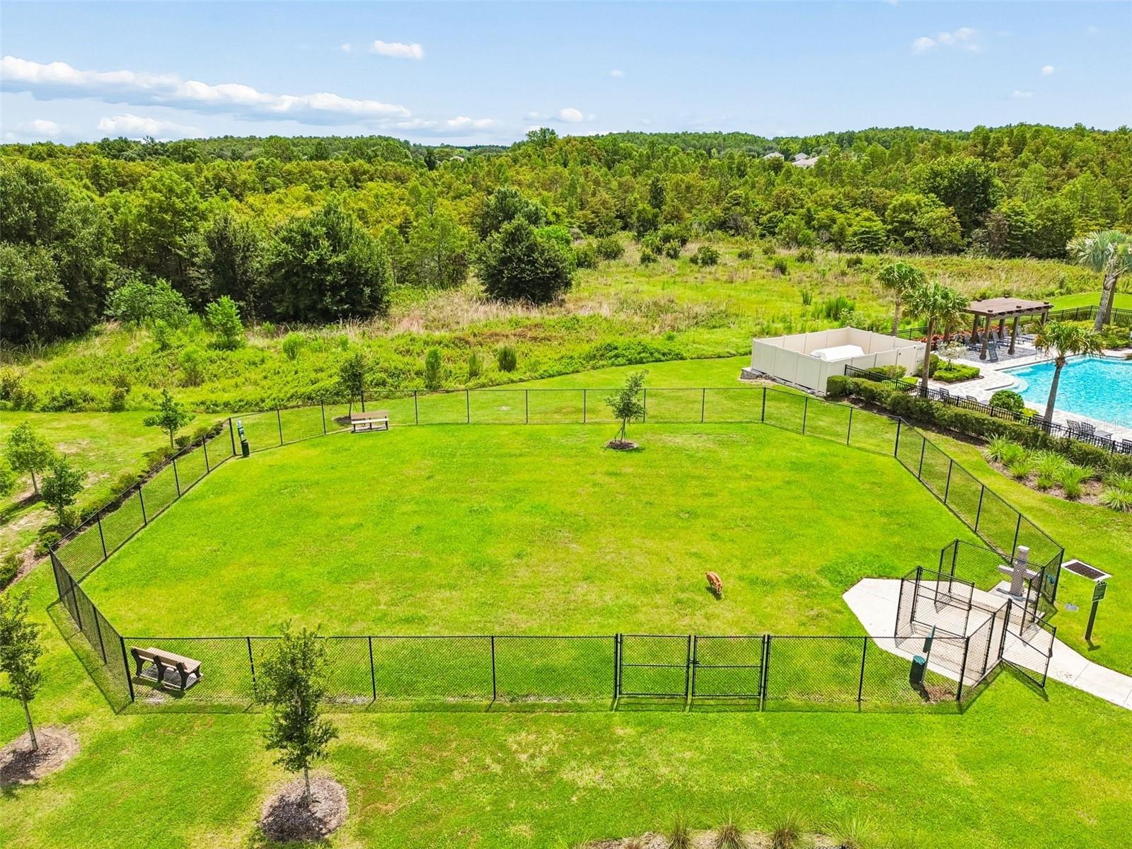 17245 AMBER ASPEN WAY — photo 48