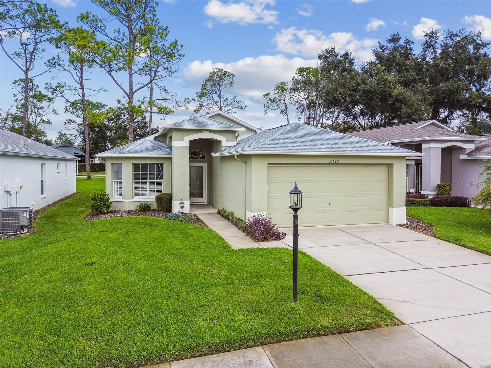 11647 WHEATFIELD LOOP — photo 3