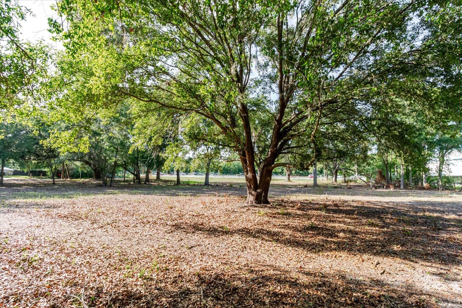 17380 RIVERSTONE DR — photo 43