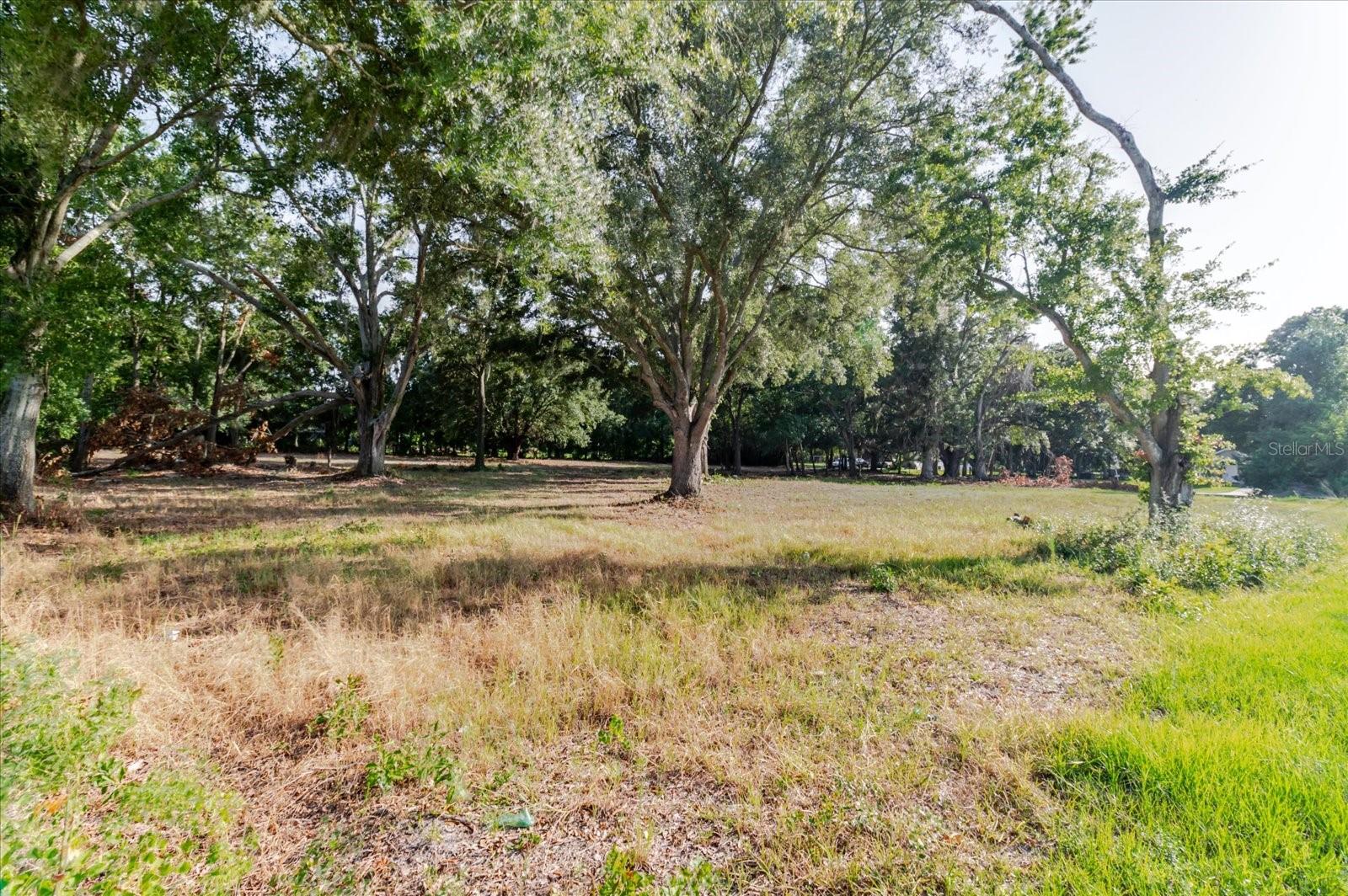 17380 RIVERSTONE DR — photo 46