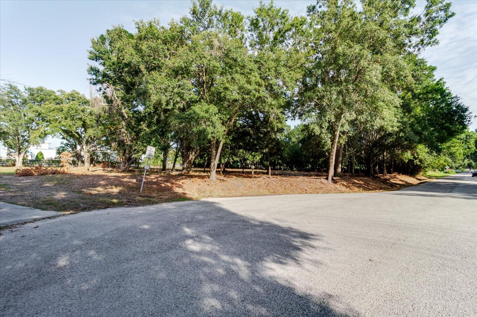 17380 RIVERSTONE DR — photo 42