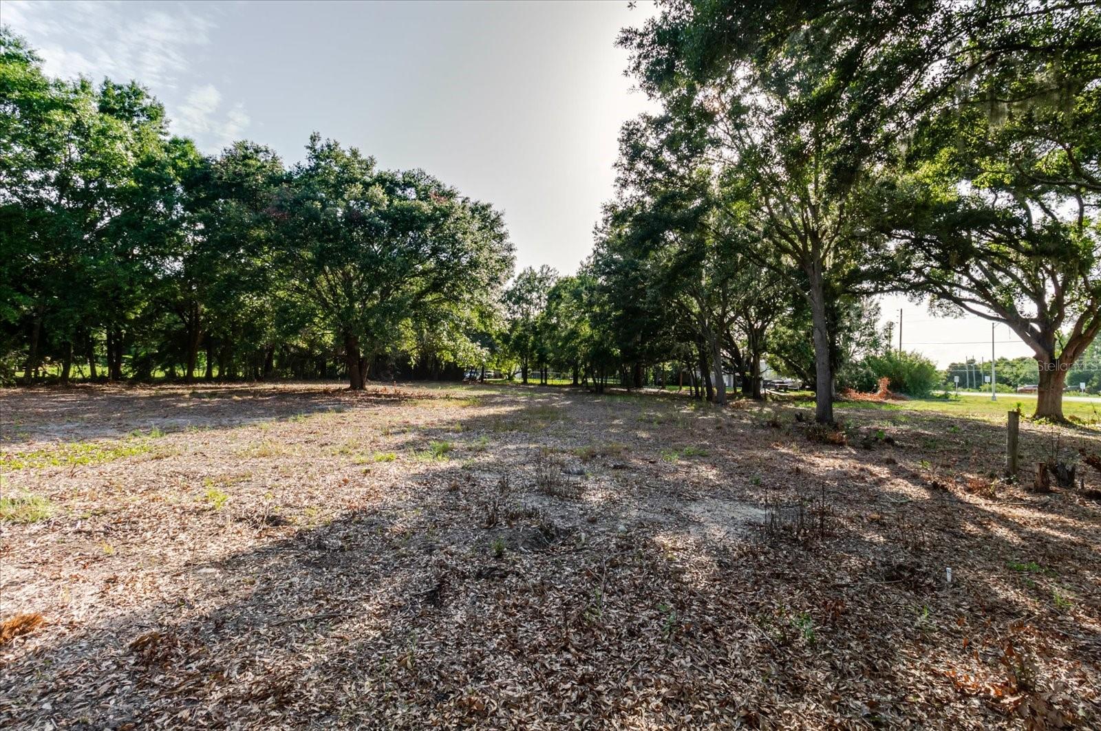 17380 RIVERSTONE DR — photo 45
