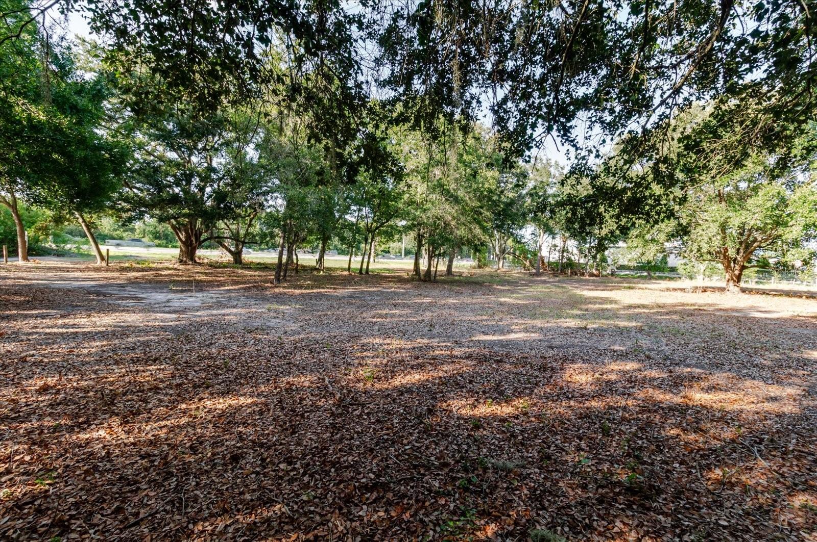 17380 RIVERSTONE DR — photo 51