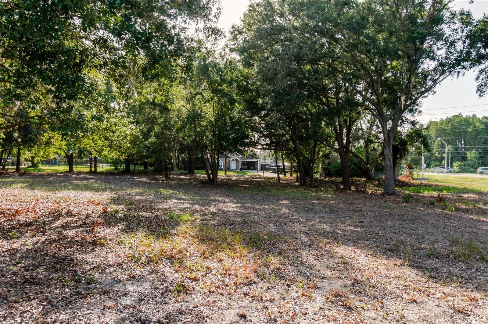 17380 RIVERSTONE DR — photo 64