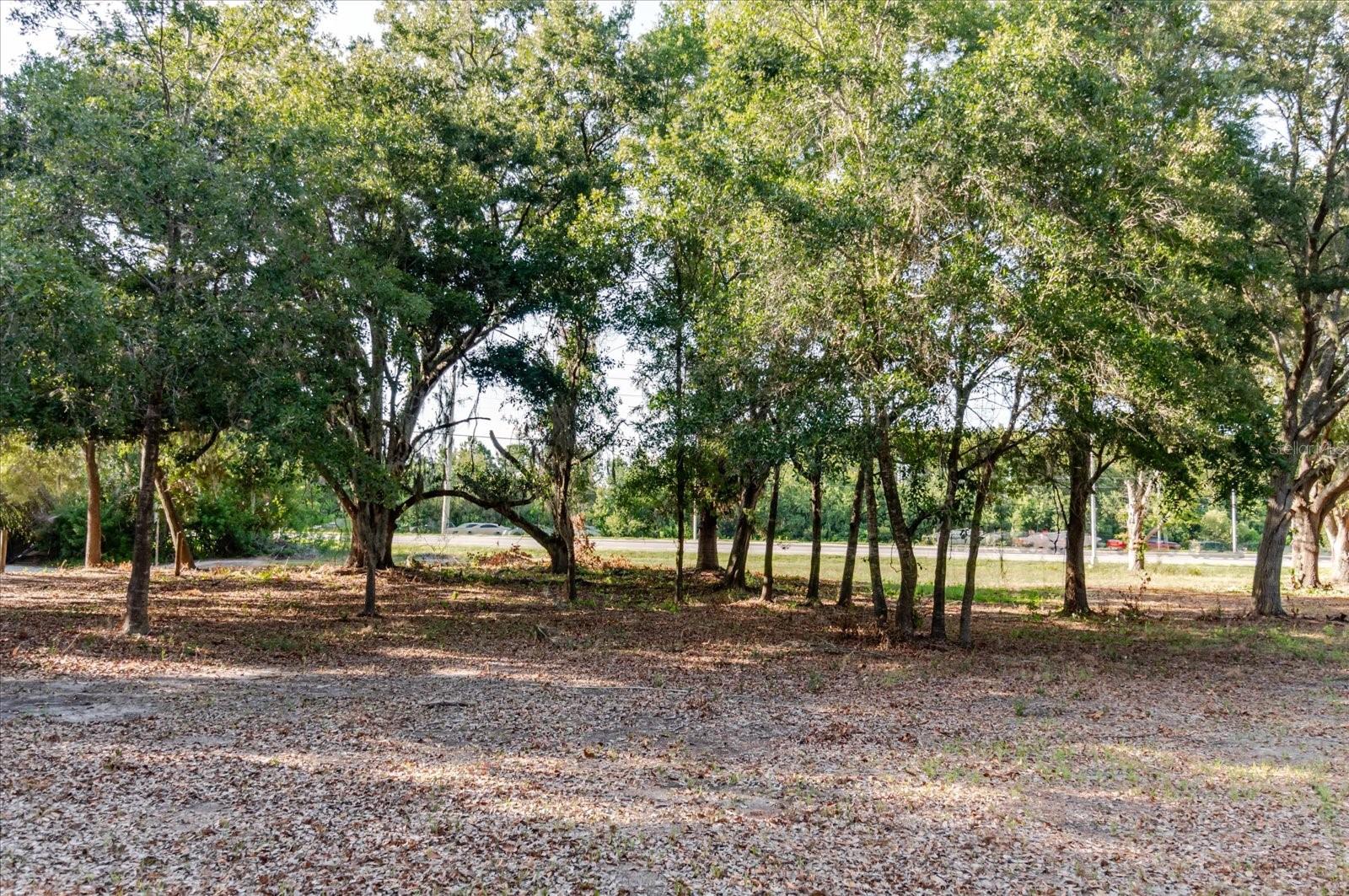 17380 RIVERSTONE DR — photo 62