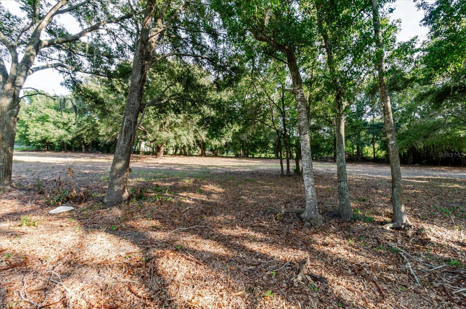 17380 RIVERSTONE DR — photo 54