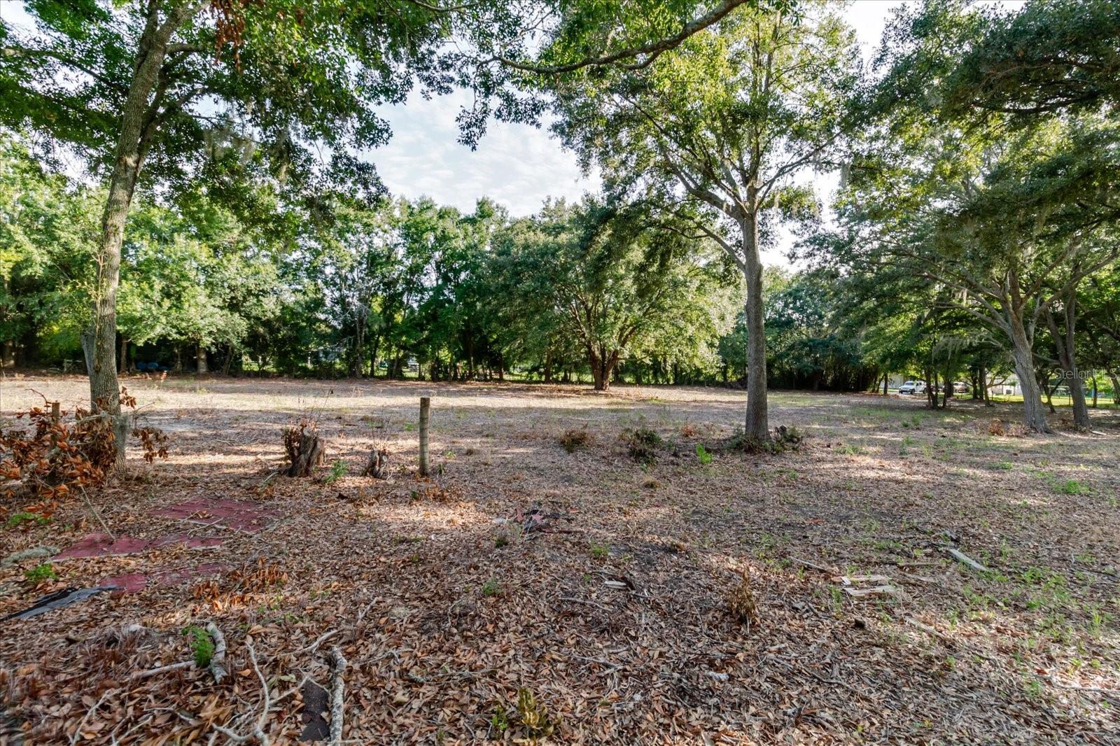 17380 RIVERSTONE DR — photo 55