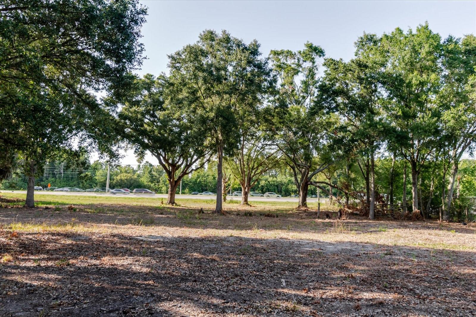 17380 RIVERSTONE DR — photo 58
