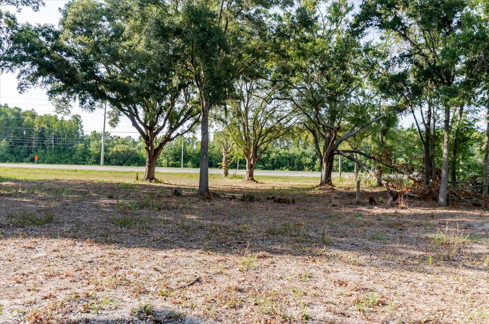17380 RIVERSTONE DR — photo 63
