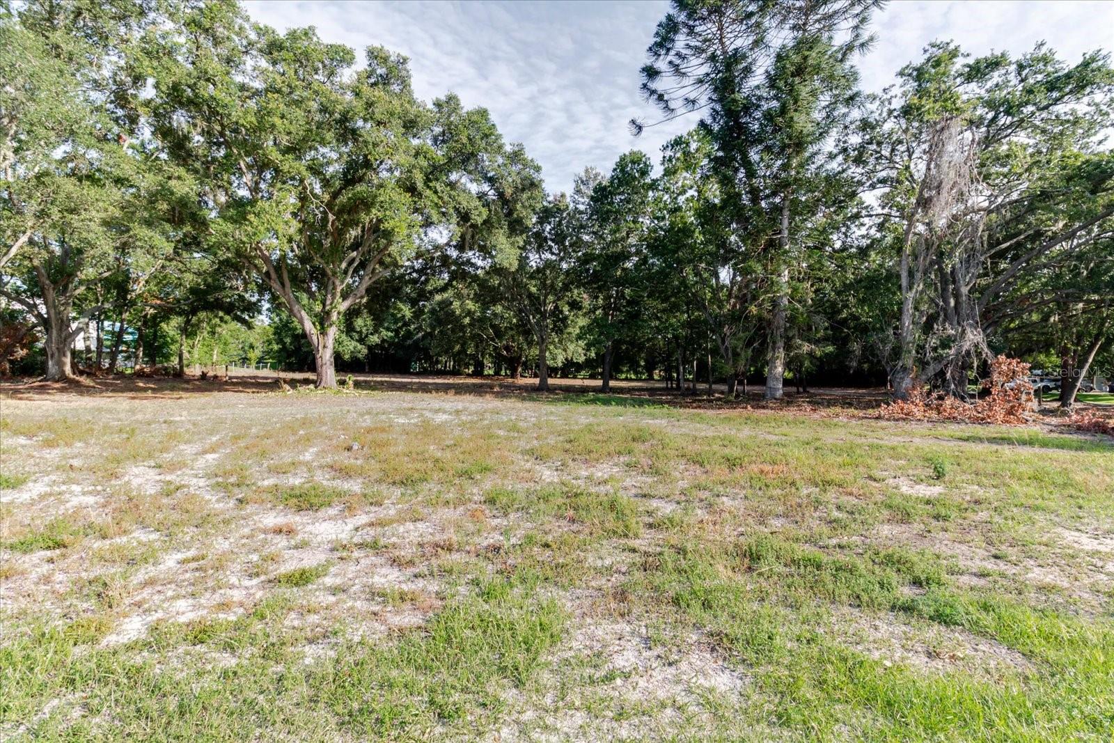 17380 RIVERSTONE DR — photo 44