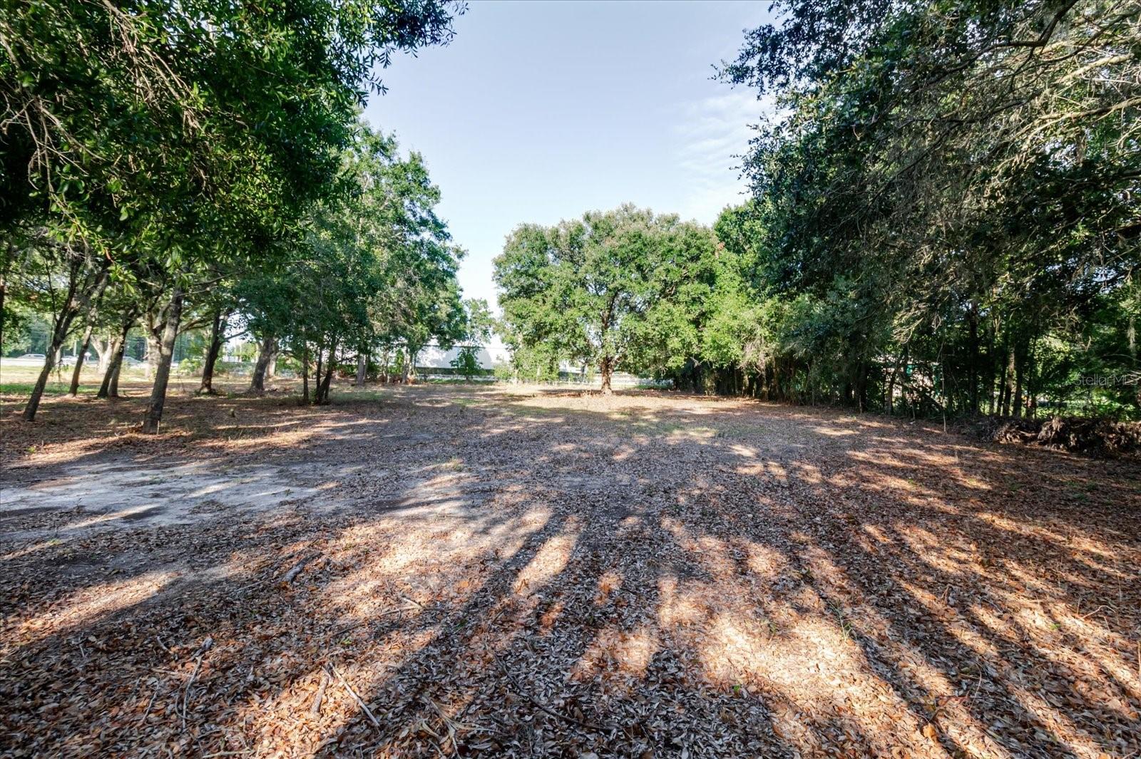 17380 RIVERSTONE DR — photo 52