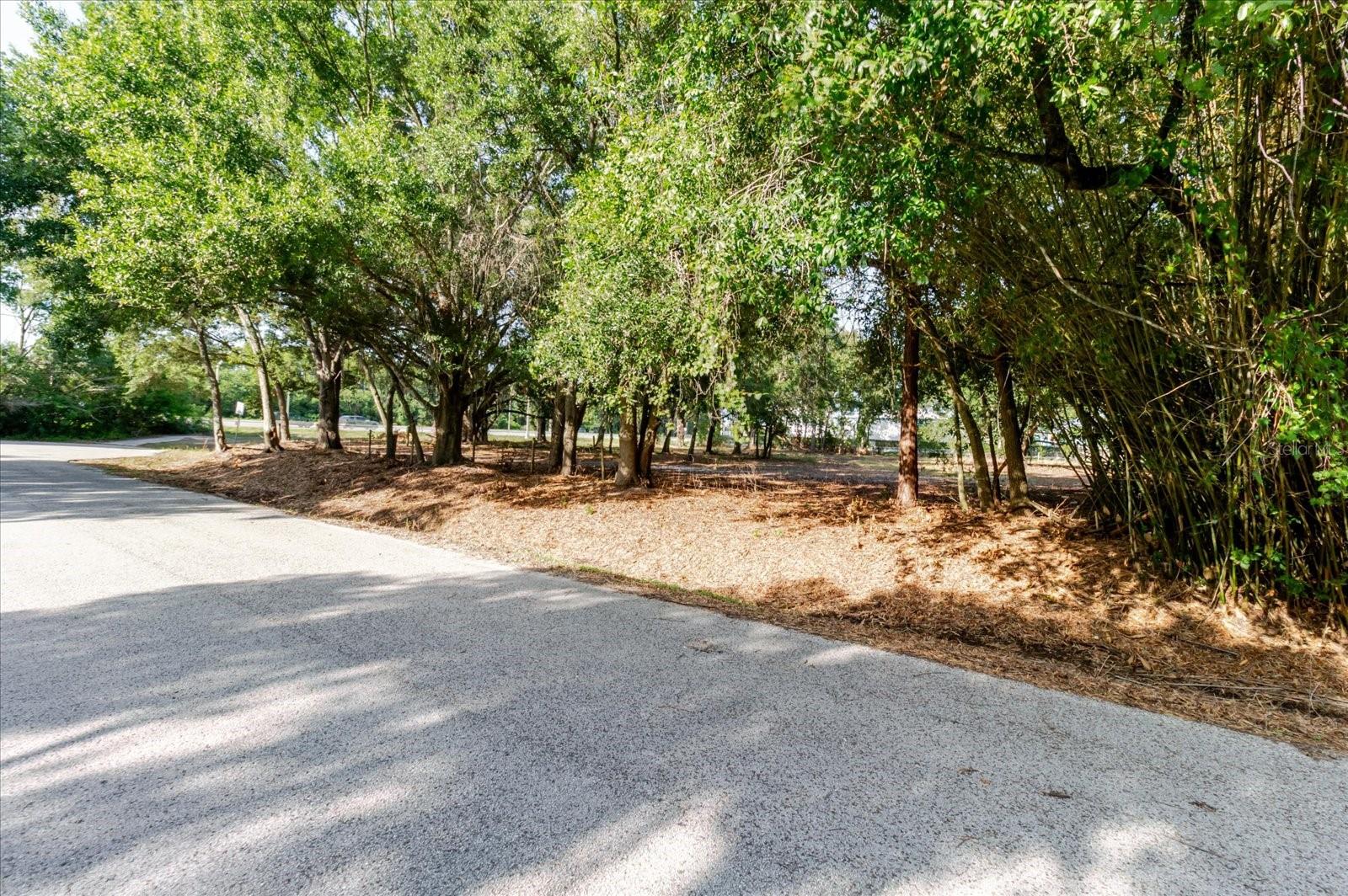 17380 RIVERSTONE DR — photo 40