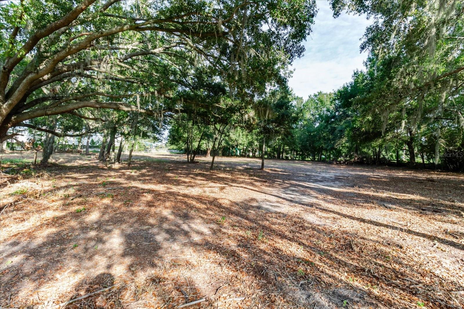 17380 RIVERSTONE DR — photo 53
