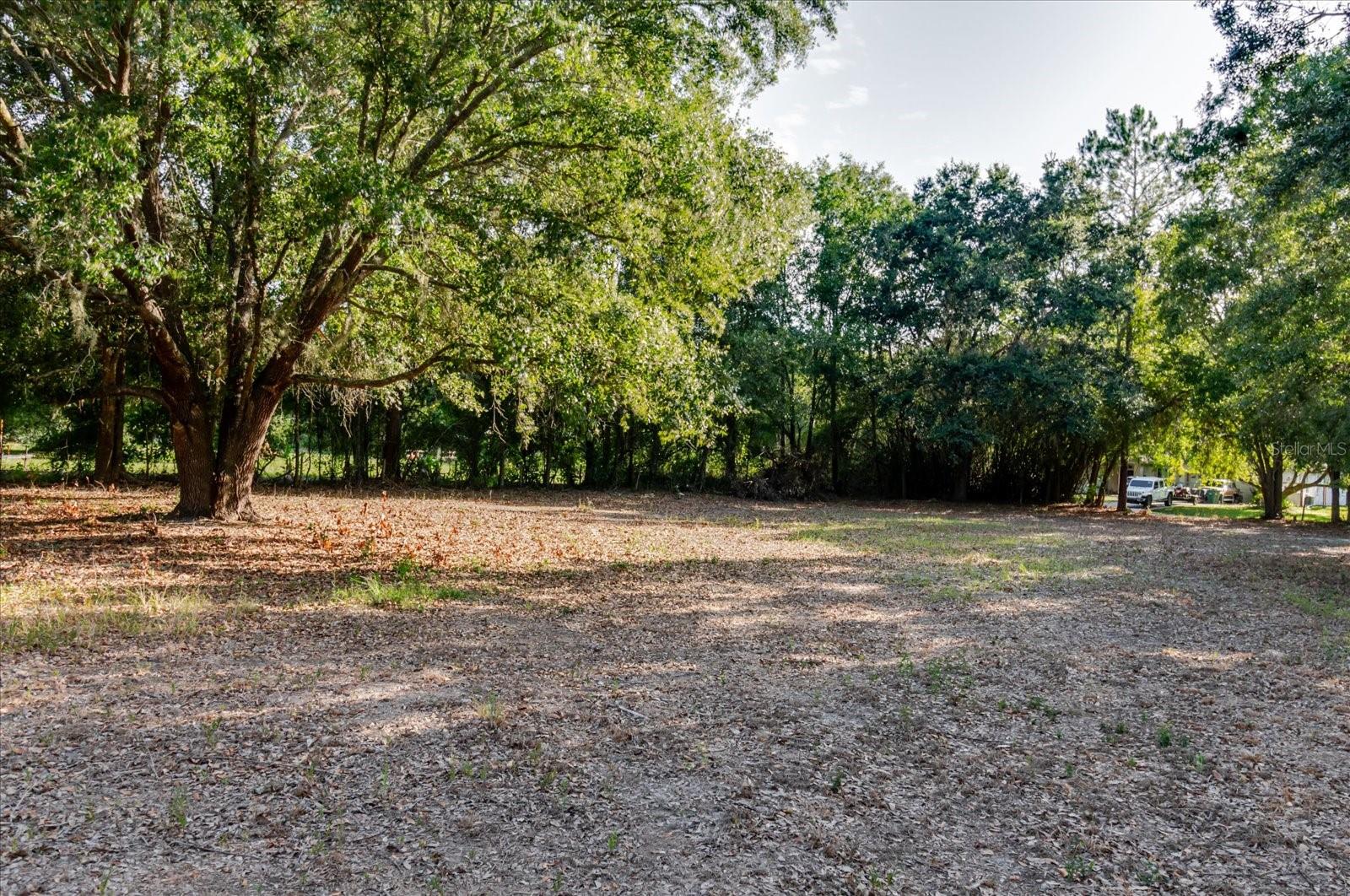 17380 RIVERSTONE DR — photo 66