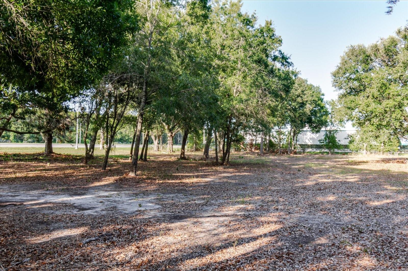 17380 RIVERSTONE DR — photo 60