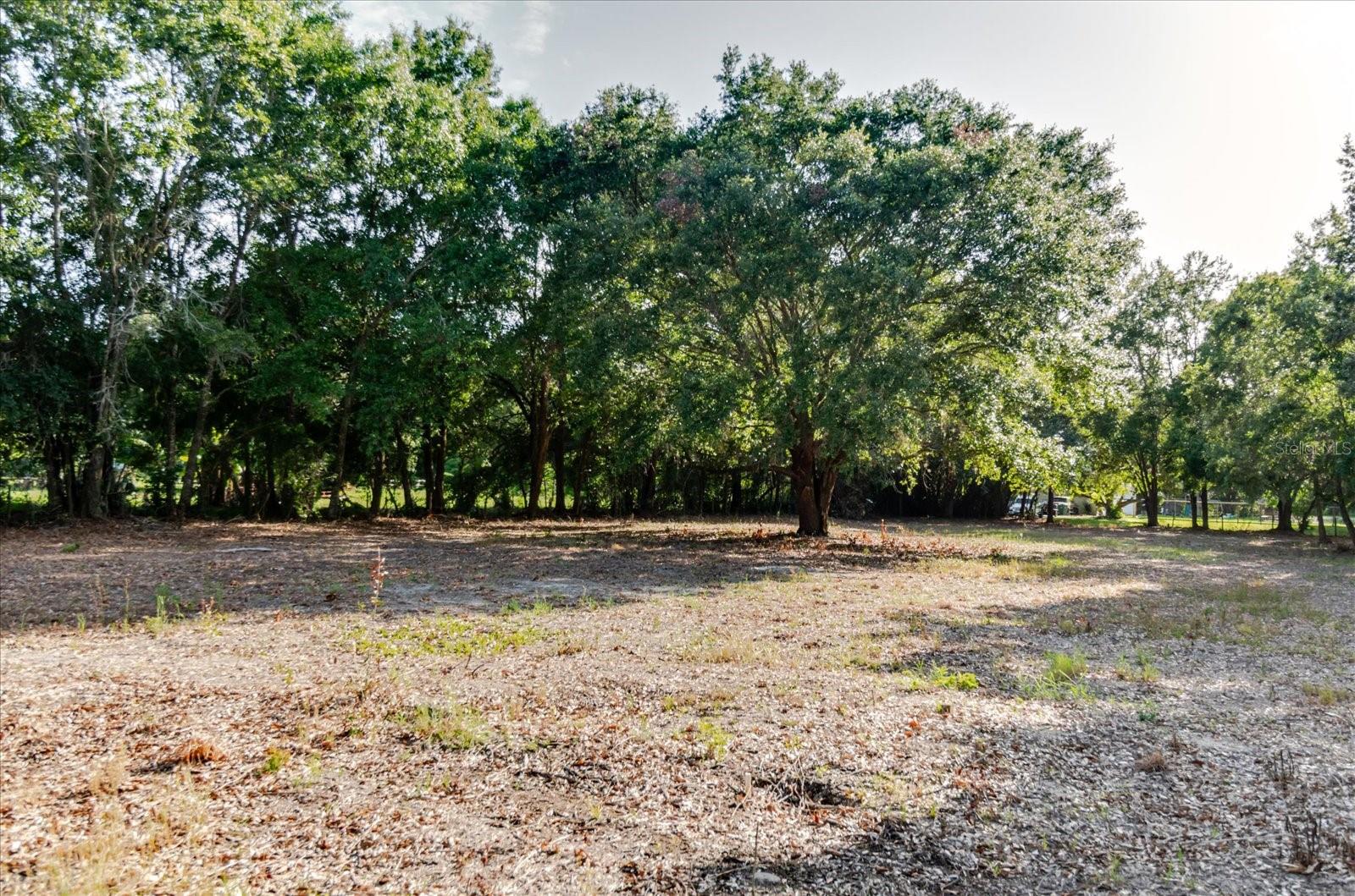 17380 RIVERSTONE DR — photo 56
