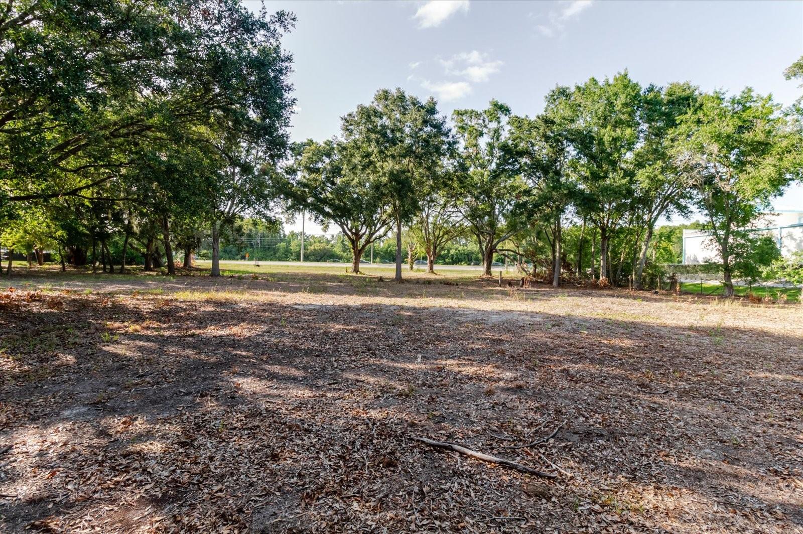 17380 RIVERSTONE DR — photo 47
